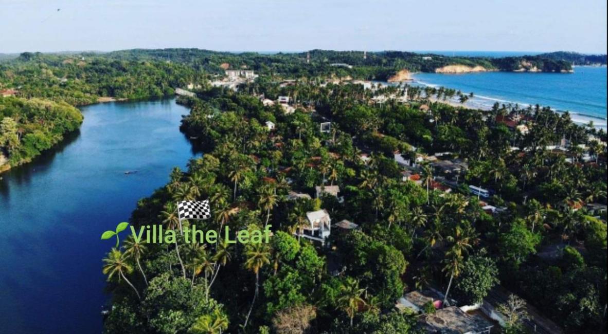 Villa The Leaf Велигама Экстерьер фото